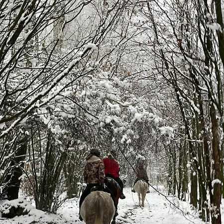 Sowia Σπίτι διακοπών *