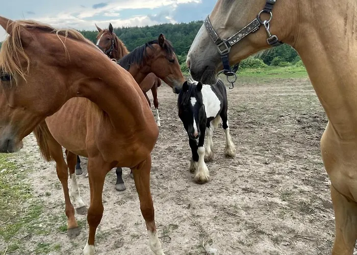 Holiday home Sowia Glaznoty