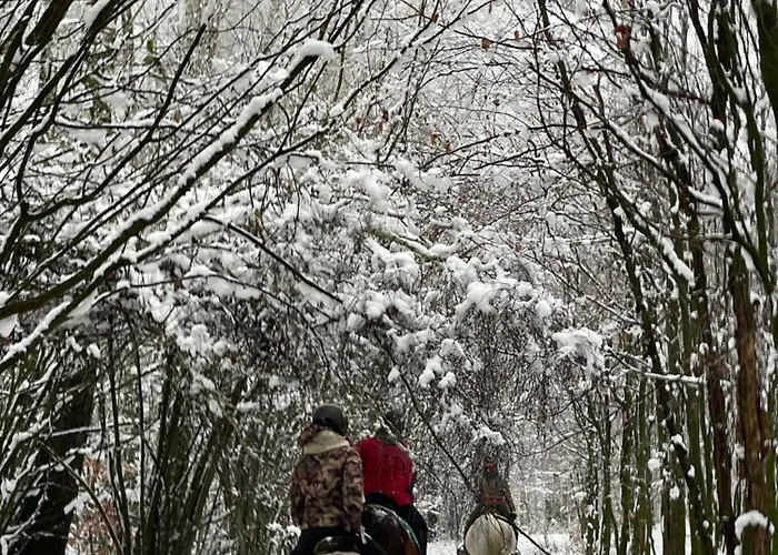 Sowia Holiday home *